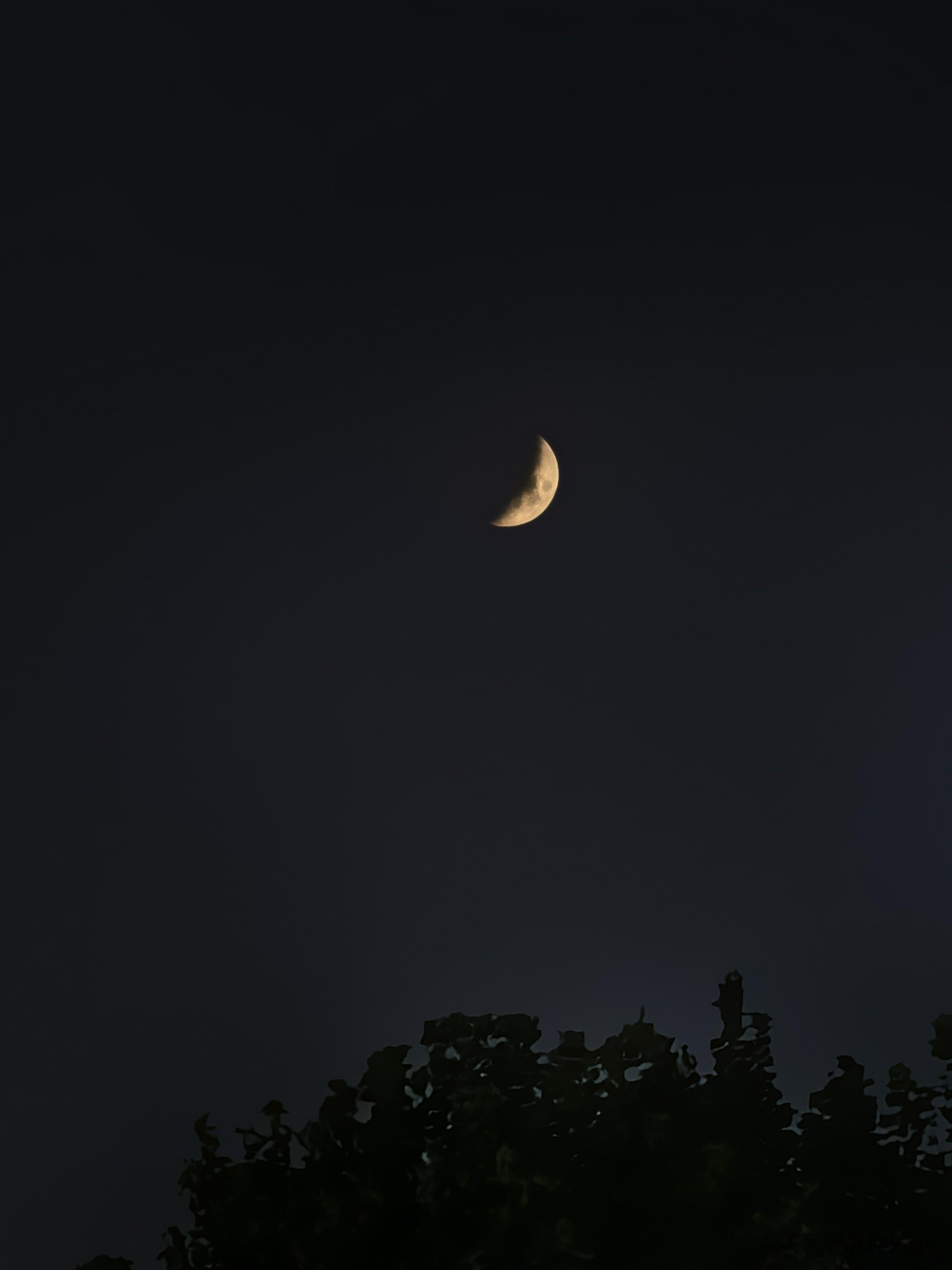 七夕月上柳梢头，人约黄昏后，祝天下有情人终成眷属 