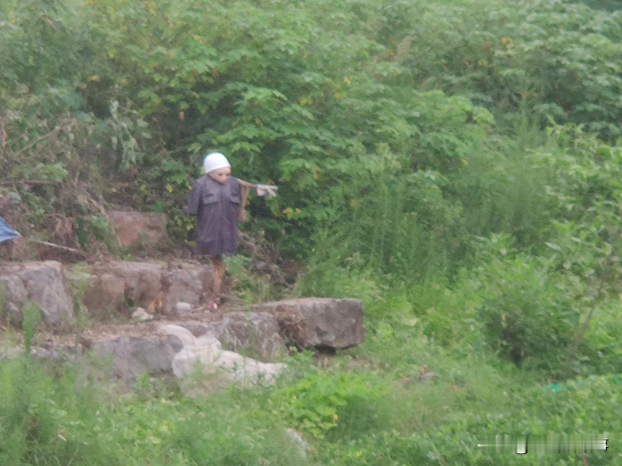 秀水河、青纱帐、篱笆墙、稻草人！
郑州市西流湖公园南园西边有一条名字很好听的干枯