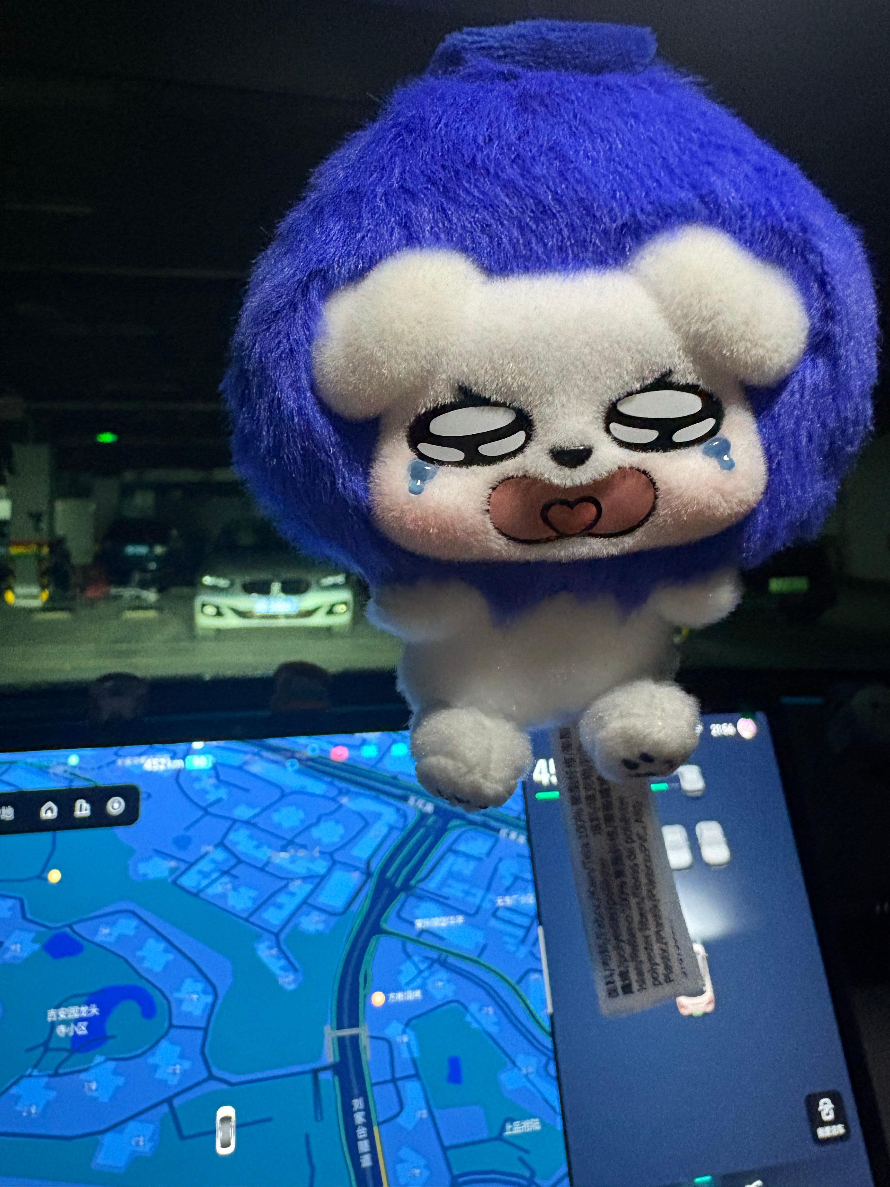 坐过我车的宝宝都知道我车上有个小鸟！一直想买个小狗跟他配平，就在今天我终于买到了
