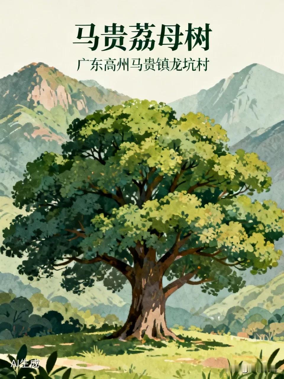 马贵荔母树最初生长于广东高州马贵镇龙坑村，至今已有数百年树龄。它是为适应马贵当地