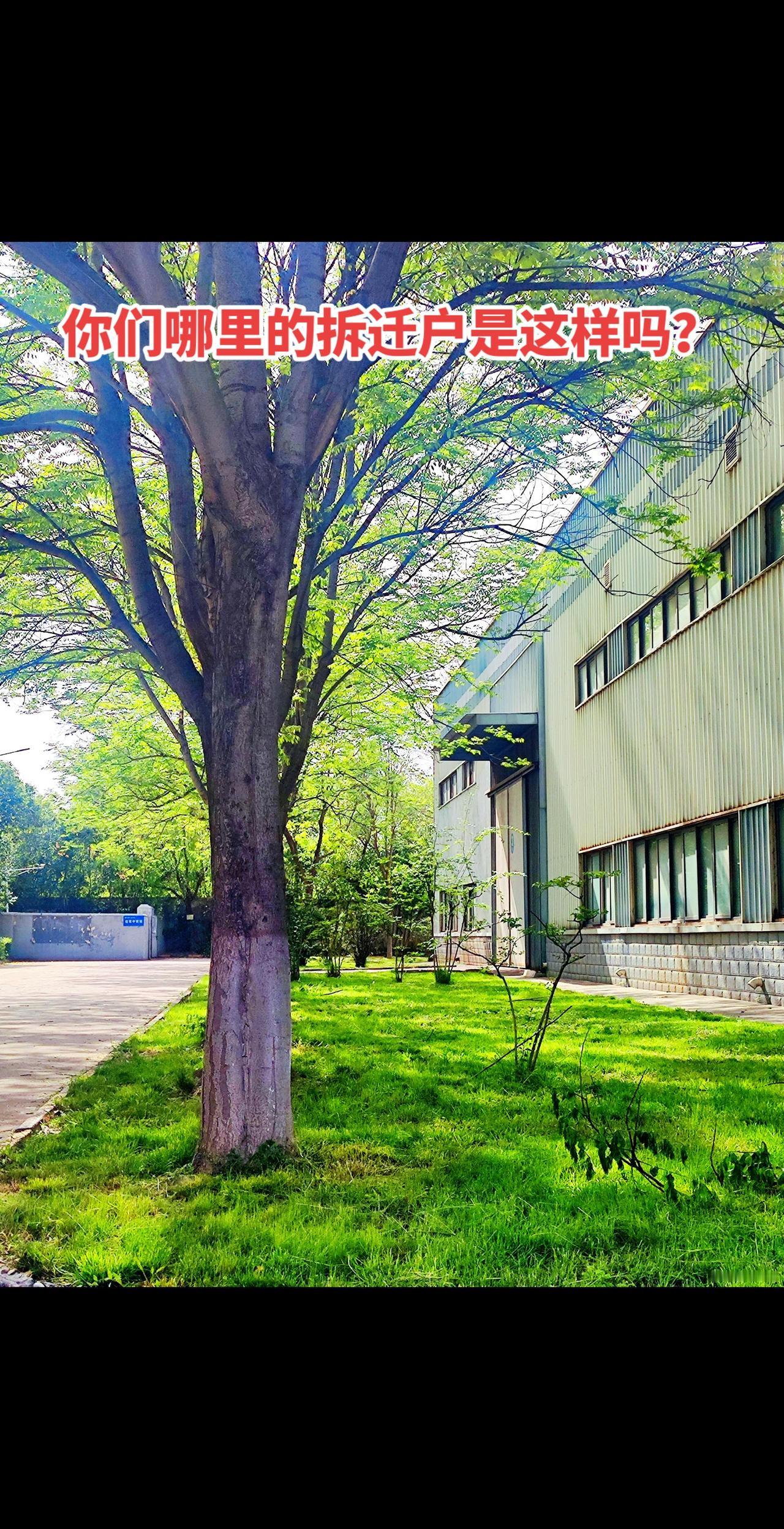 这个视频出陕西了么？到哪里了？