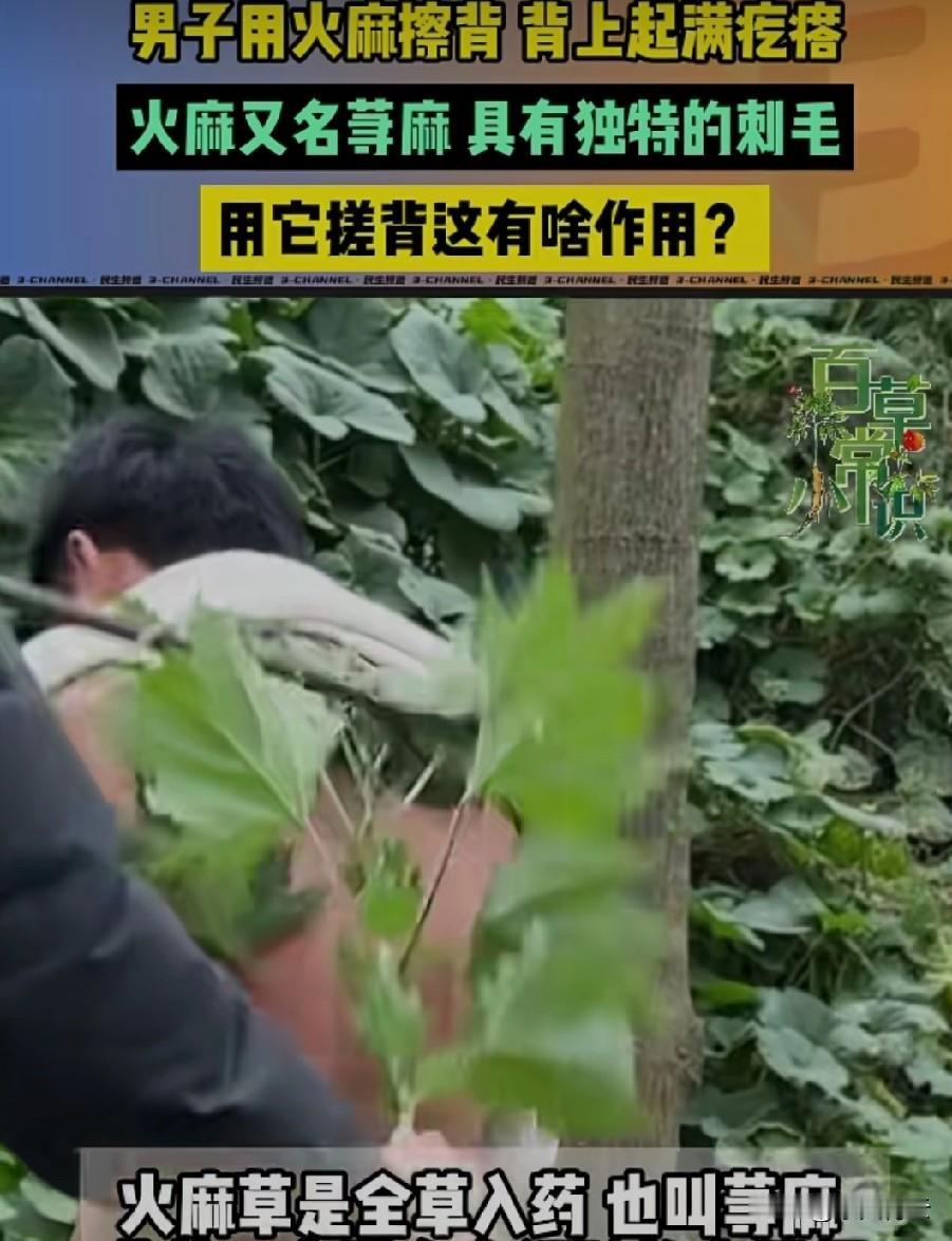 这确定有效果？
每个人的皮肤情况不一样，
可能对别人有用，
但自己用就过敏出问题