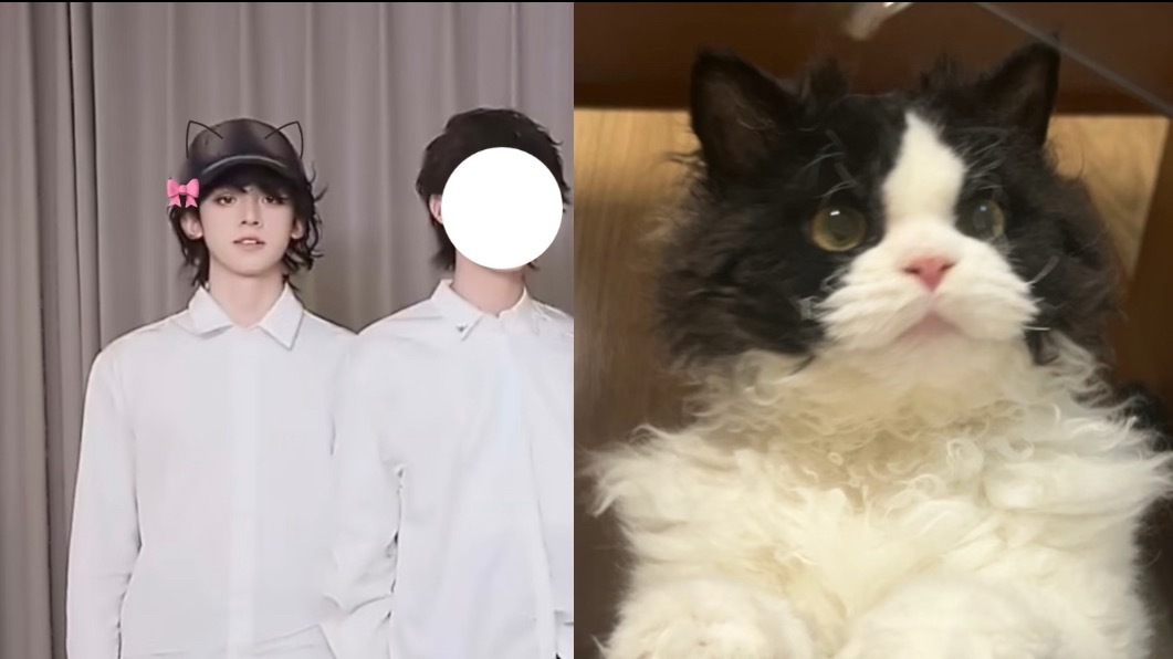 左航真猫来的吧 刚开始看见这个造型感觉像是搞艺术的文艺男 现在——什么文艺男啊 