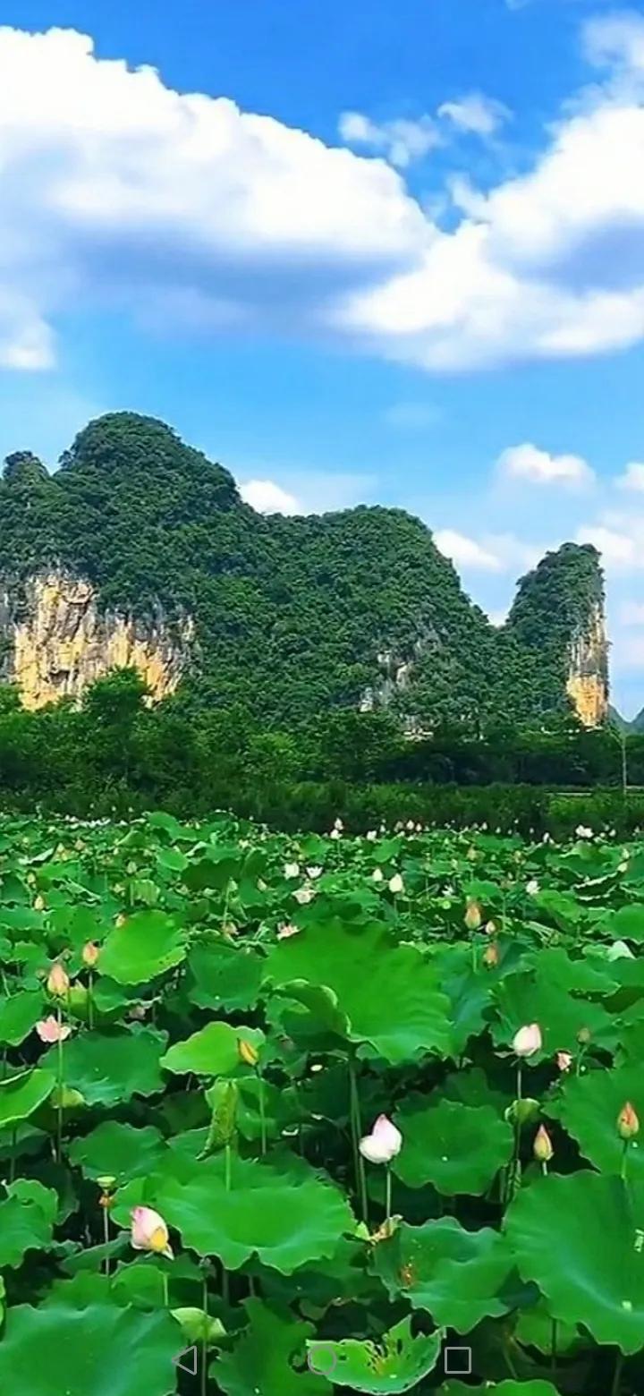 上：雨欺弱柳千行泪，
下：风敬强松万载青。
