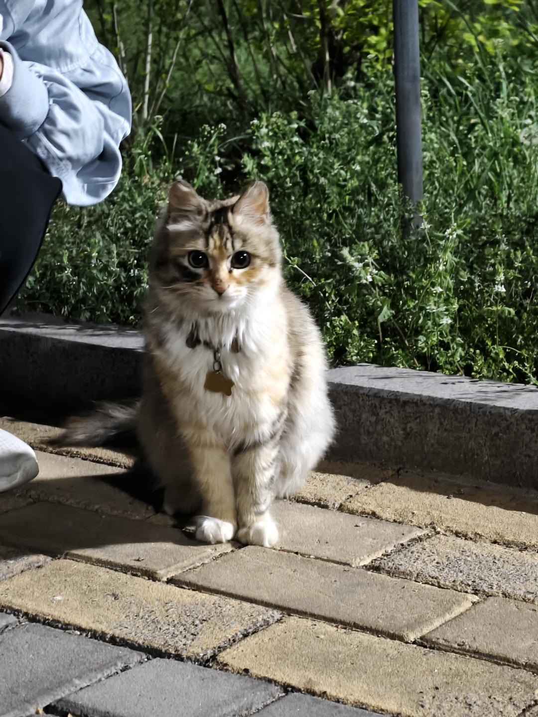 金钱至上的社会，人与人之间的关系就是冷漠
有奶便是娘，有钱能使鬼推磨……
当你没