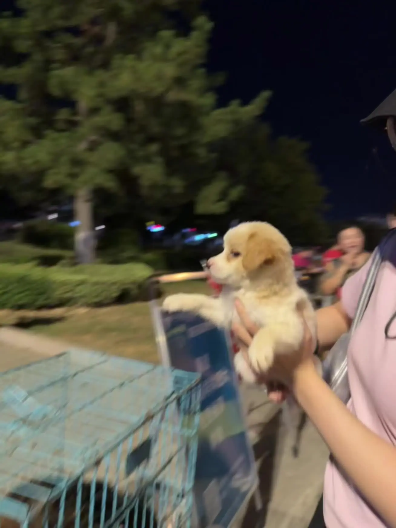 繁华世间，愿他们都能有一个温暖的家，来到了人民广场，虽然被有时被人嘲笑...