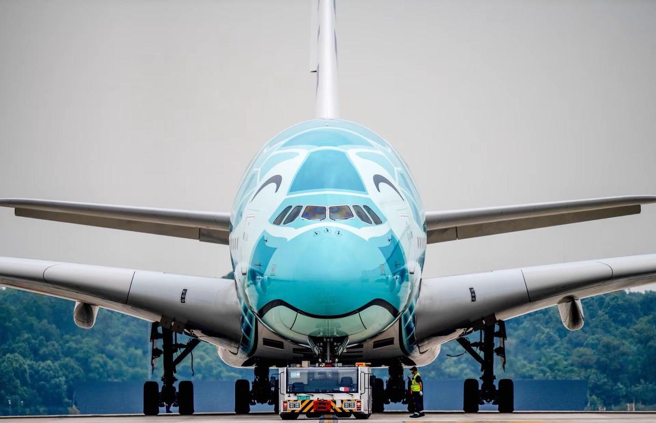 深夜到达双流的绿海龟。注册号JA382A，全日空Flying Honu二号机于9