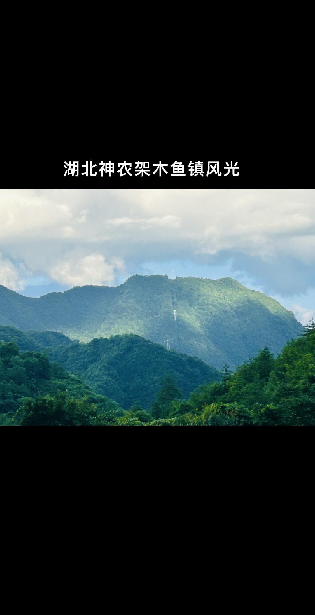 到湖北神农架木鱼镇转了转，满眼都是层层叠叠的青山，吹着风看着景，整个人都跟着舒展