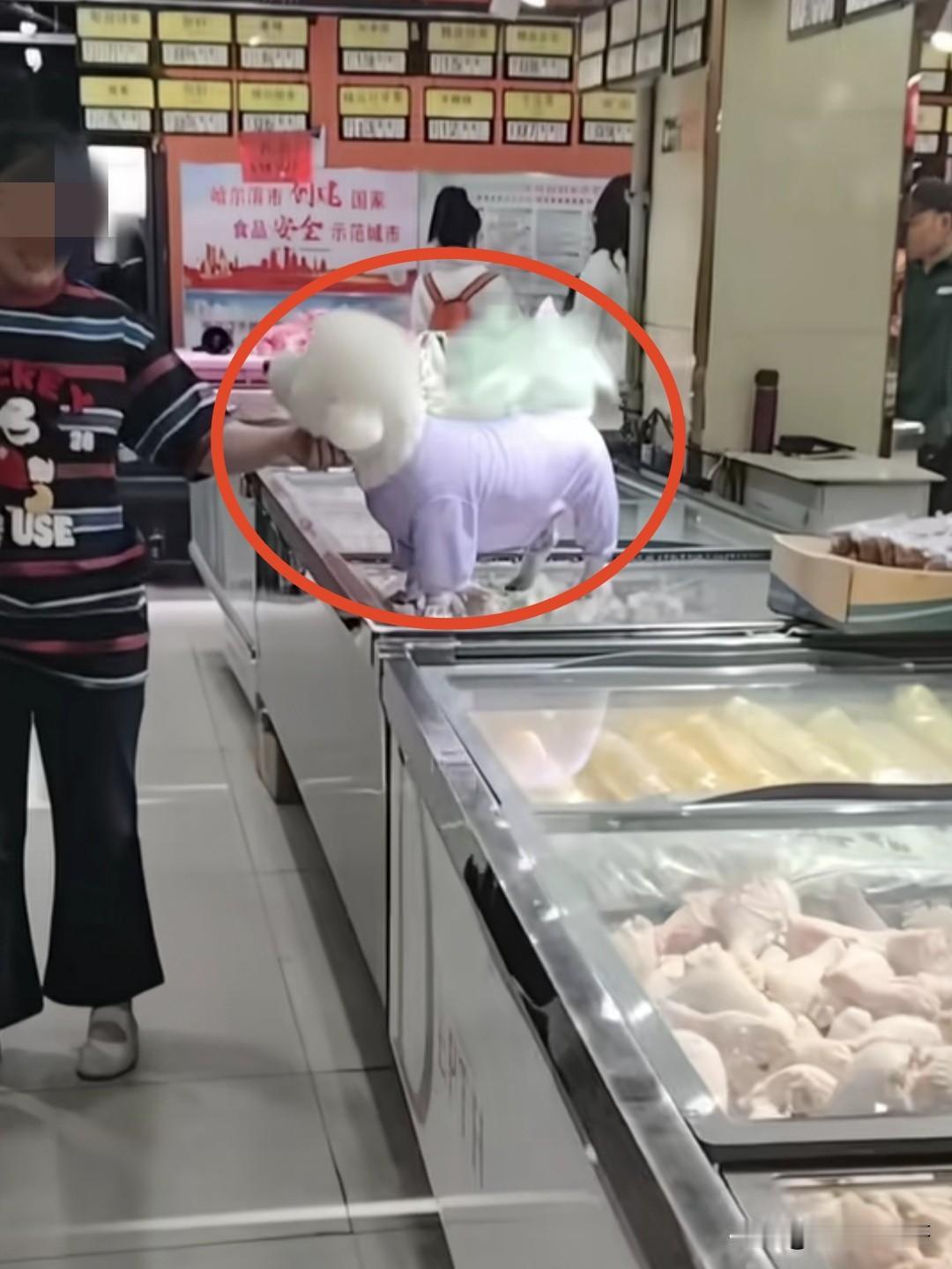 那些喜欢养宠物狗的人，你们就不能自觉一点不带宠物进超市？进超市也就算了，还把狗放