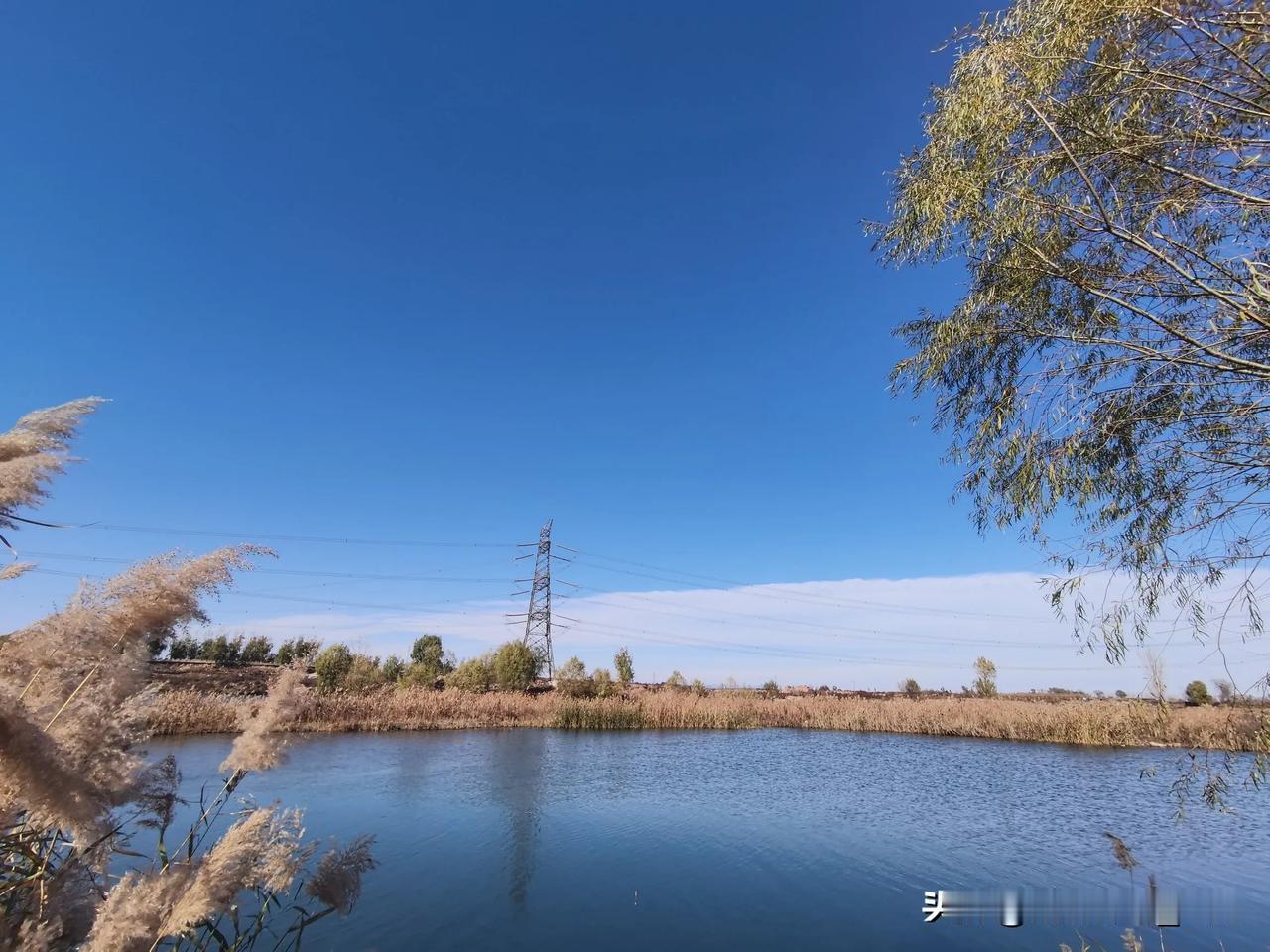 重逢老友，回忆满满。今天我要把在头条上重逢老友的那种难以言表的喜悦分享给你们。