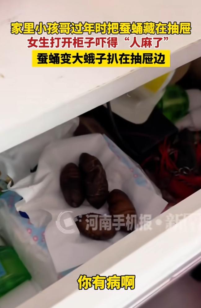 近日，黑龙江，一女子准备炸蚕蛹吃，可她的孩子们看见这些活的蚕蛹，实在不忍心下手，