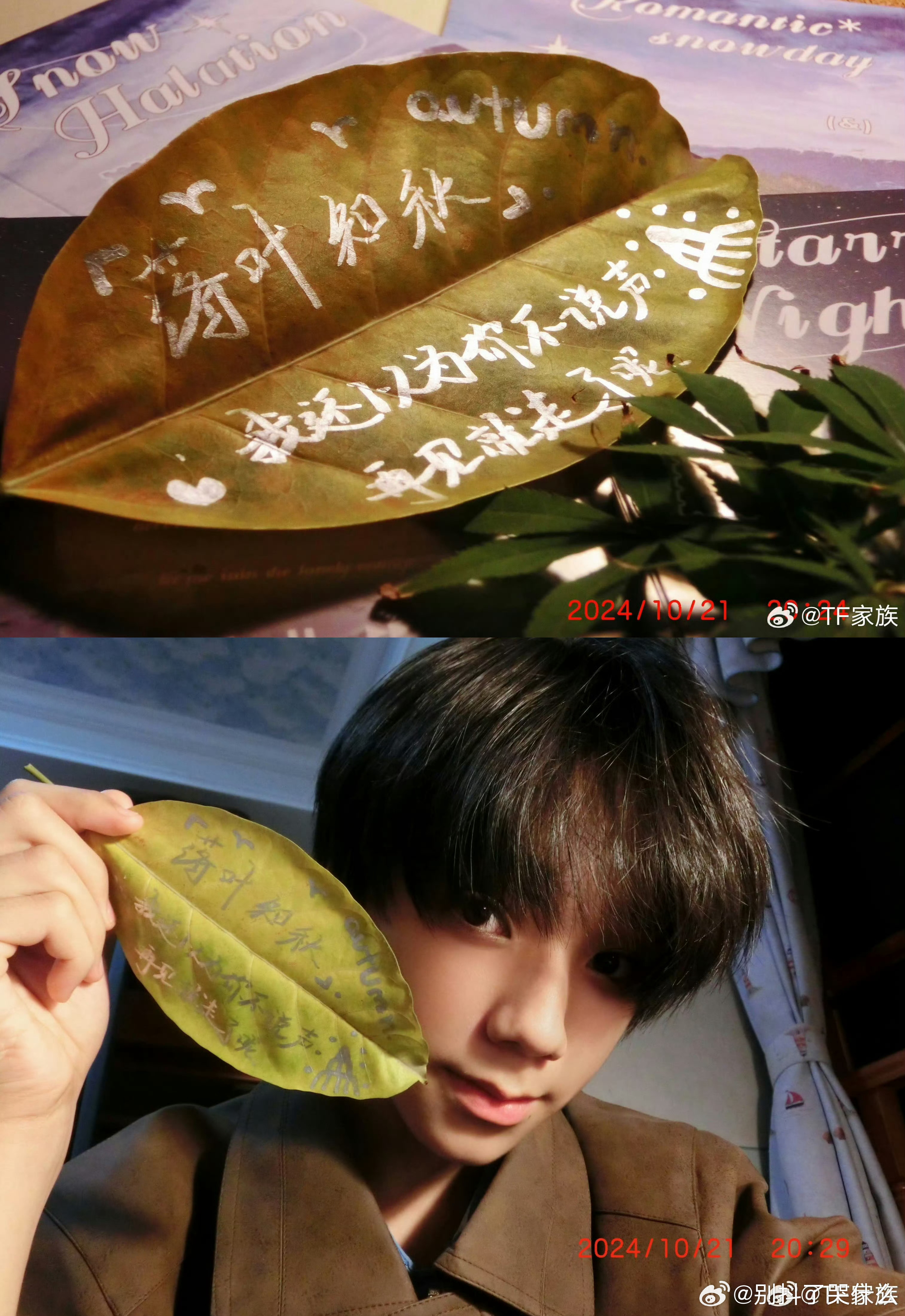 固执美丽的意义固执空洞的美丽飘飘然然空中遇见你你是我朝夕相伴触手可及的虚拟陪着我