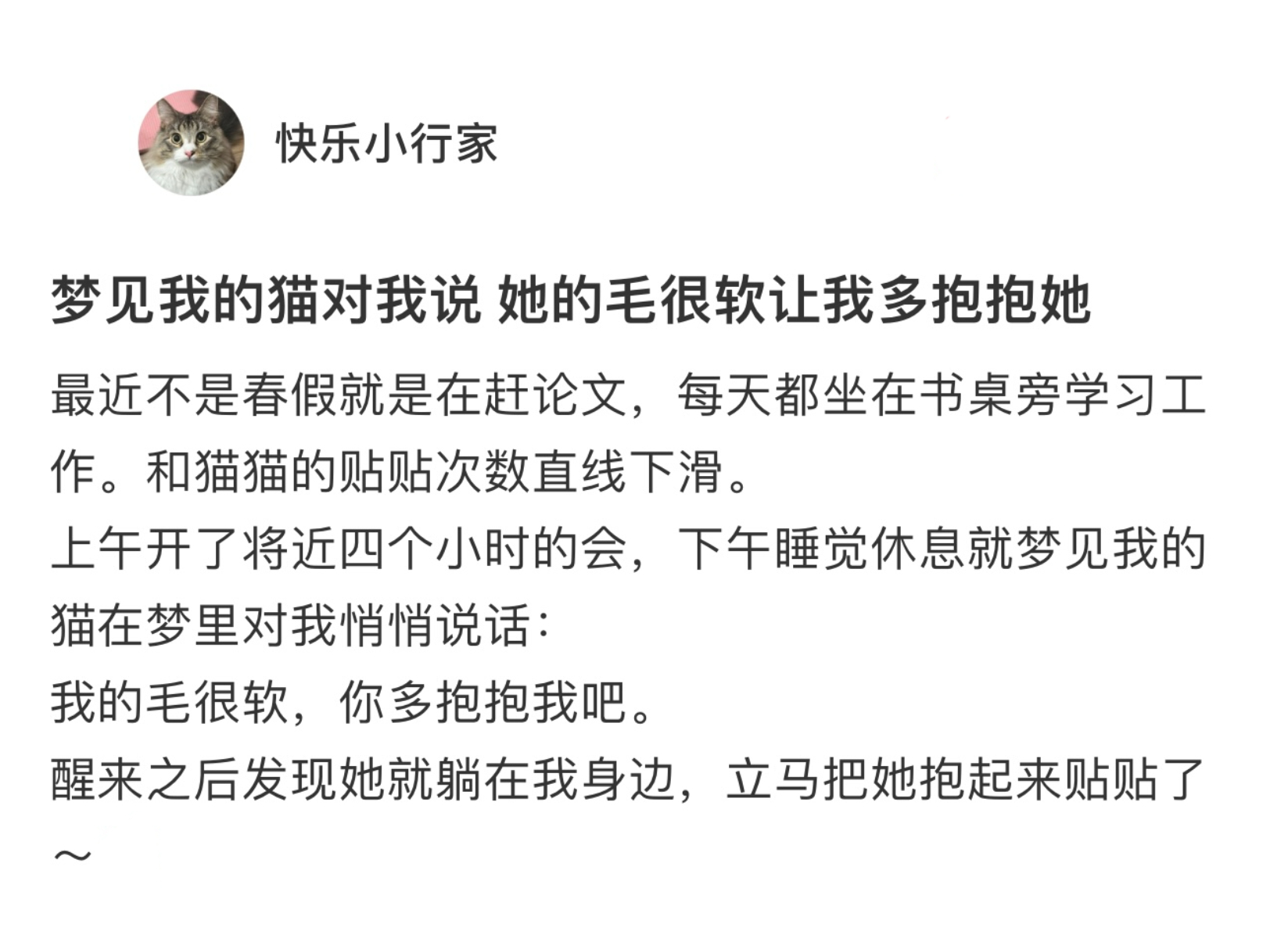 梦到小猫说让我多抱抱它 ​​​