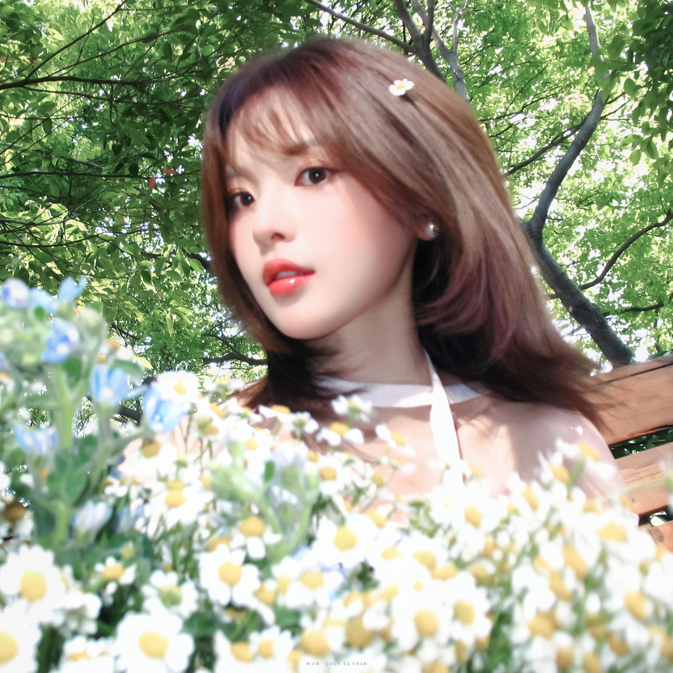 杨超越 ∗ 头像🌼捧花少女💐📖🔖 