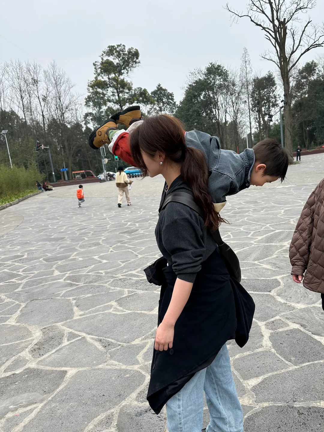 收丛回家