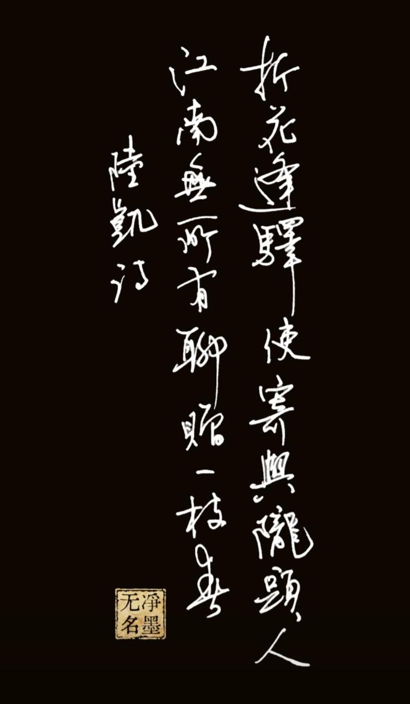 普通钢笔抄写南北朝陆凯
《赠范晔诗》
写偶遇驿使折梅寄给远方友人，以一枝梅花捎去