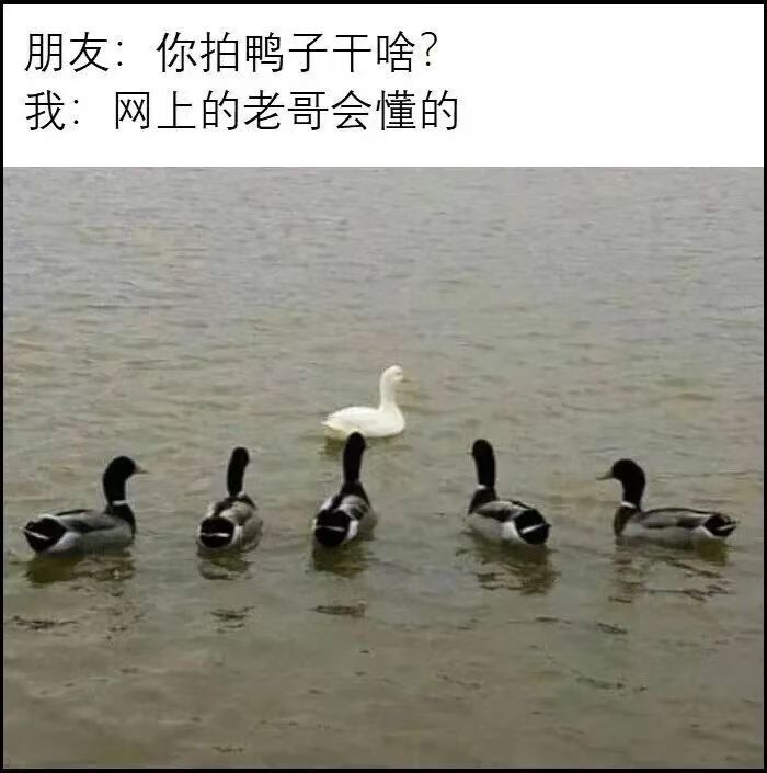 晚安 