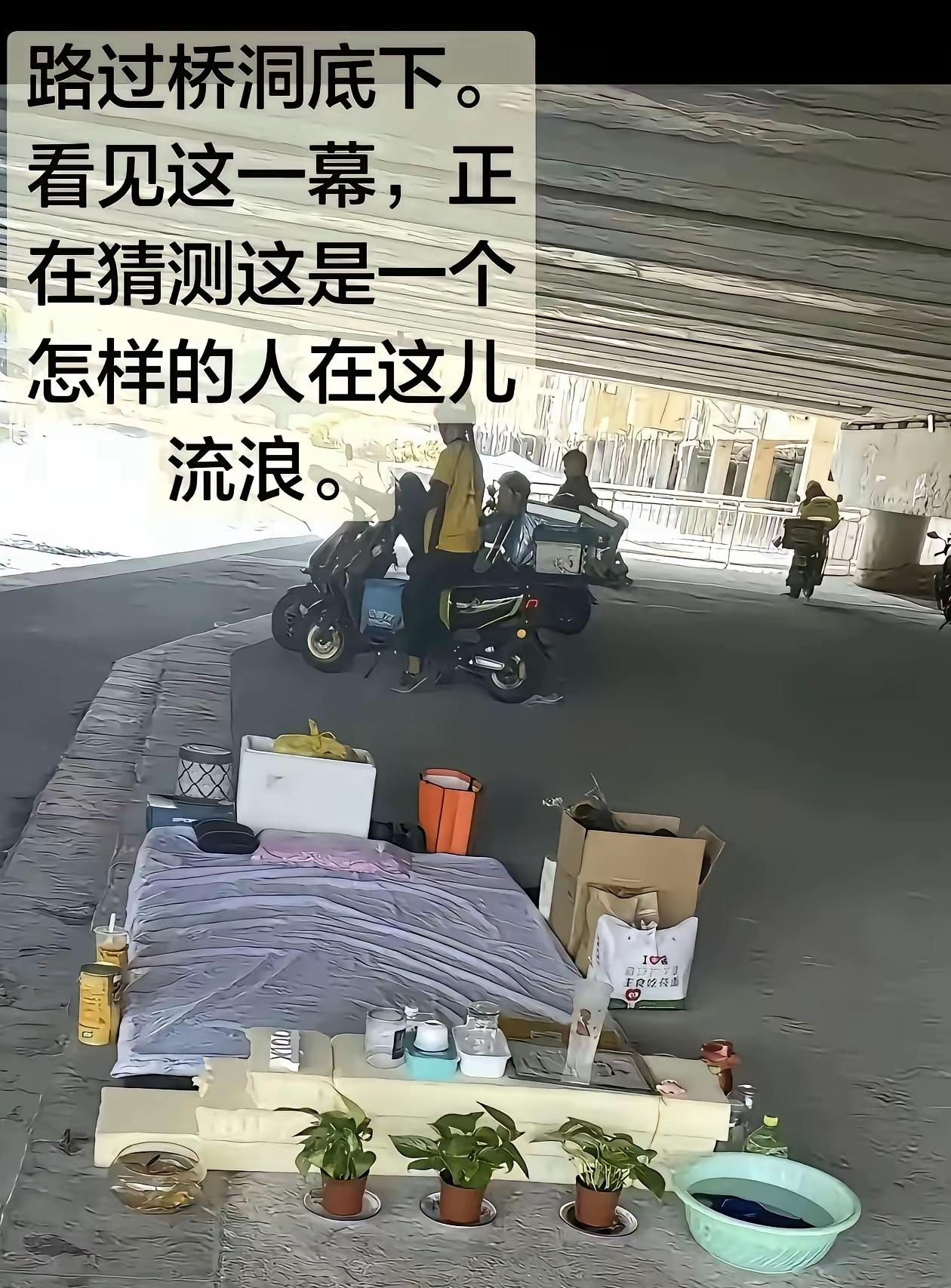 钓鱼佬：家人们，我成了流浪汉[捂脸]