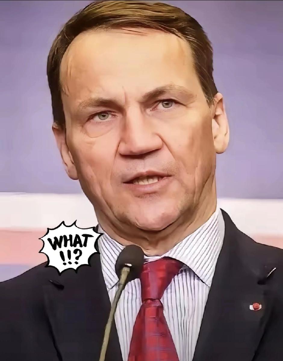 波兰刚指责中国“经济捆绑”、审查中企啤酒厂并购，北京反手就是三连击：暂停中欧班列