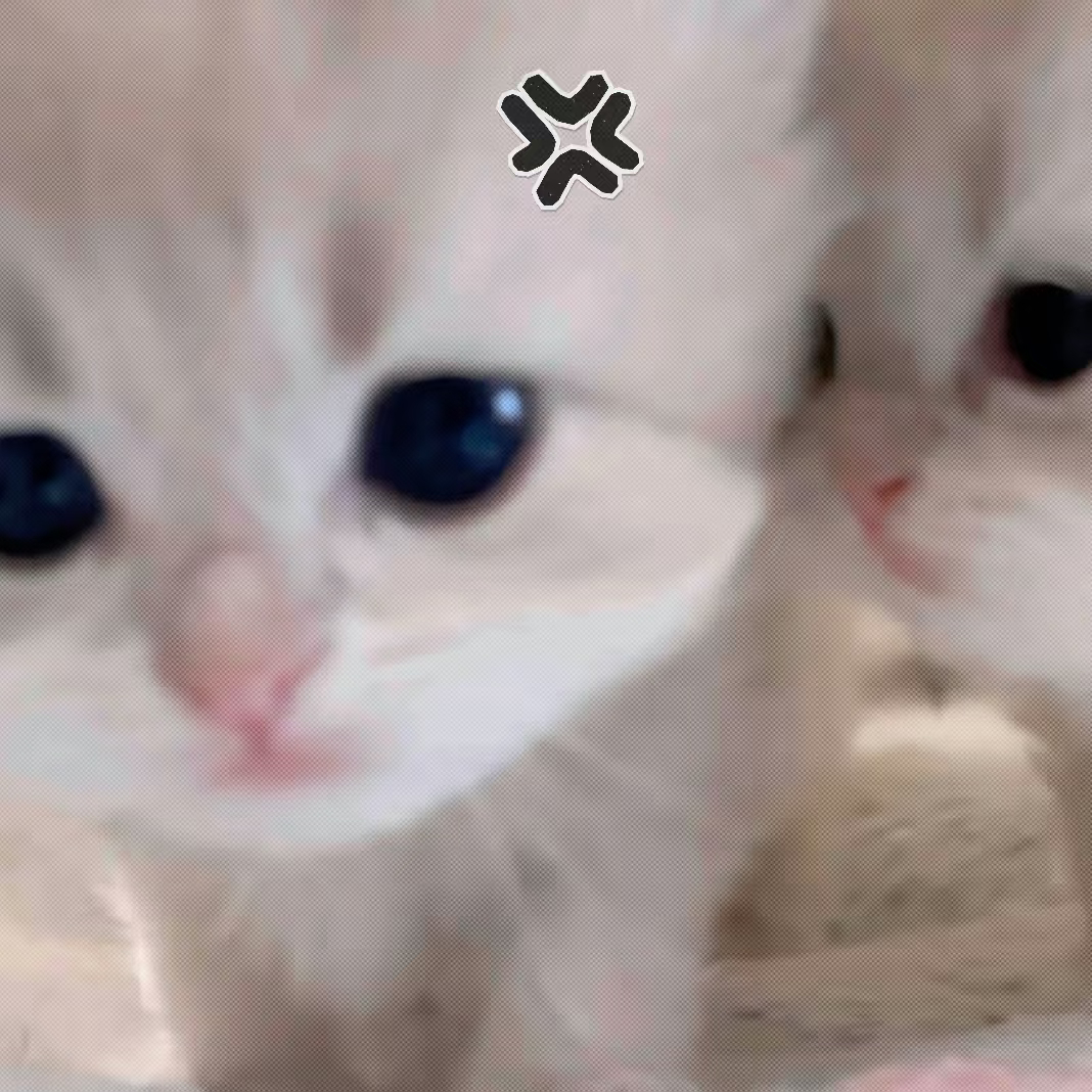 小猫头像｜闺蜜头像｜情侣头像｜可爱头像 