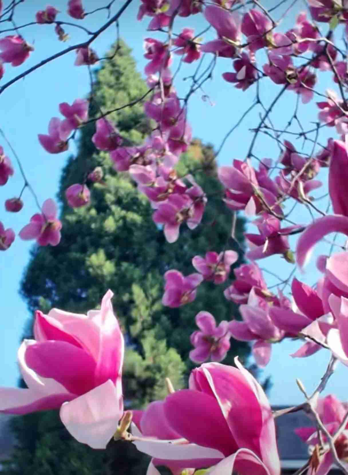 我的今日状态：😁轻松愉快
我这里的天气：🌧下雨