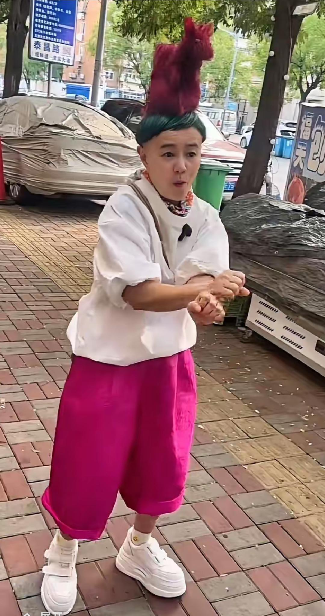 金龟子刘纯燕，换造型了，一直没有变的发型上，添加了一匹红色骏马，金龟子，走路都小