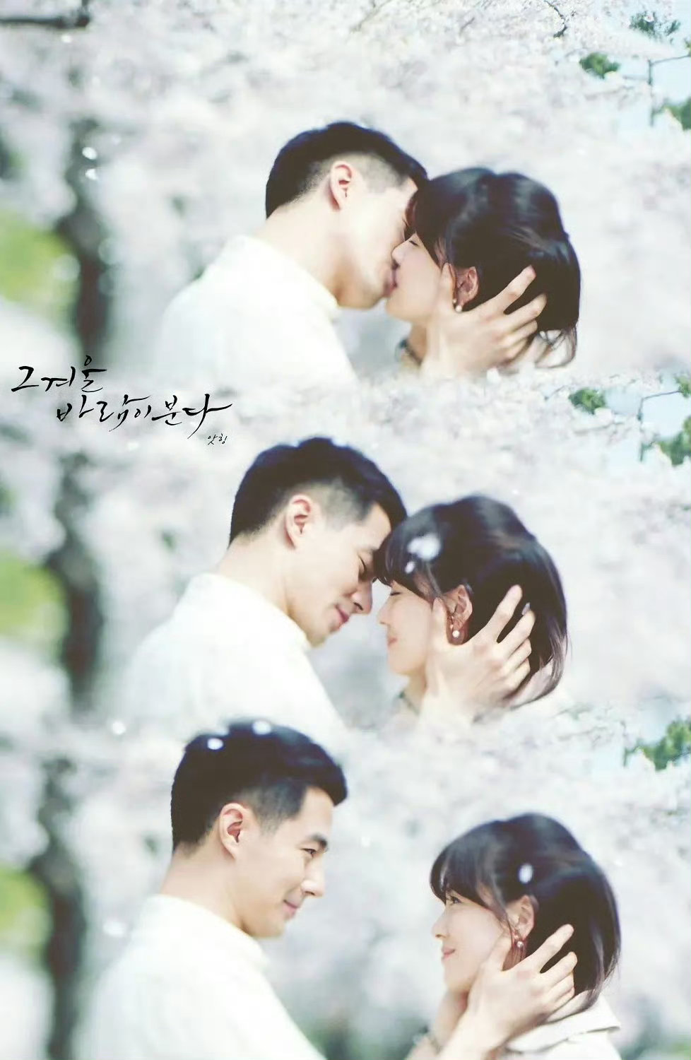 宋慧乔赵寅成韩孝周金宇彬聚会宋慧乔赵寅成韩孝周金宇彬同框谁的DNA动了？乔妹和赵