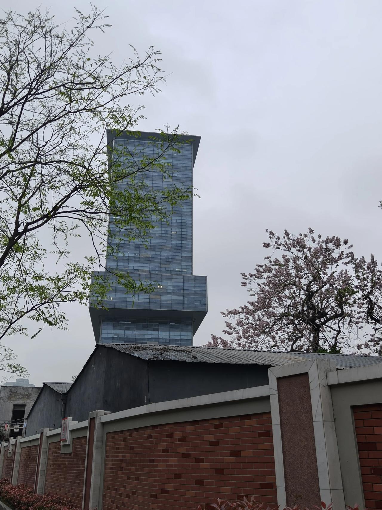 泡桐花是春日里最不张扬的盛景。它不像桃花那样灼灼其华，也不似樱花那般娇柔易逝，只