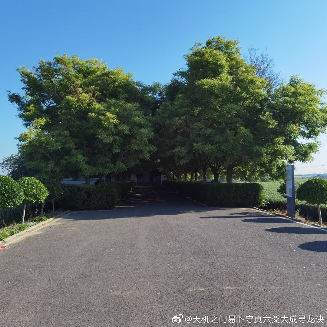 本人合伙经商，想要提前预测合作之后的盈亏状况，商铺需要风水布局，合同签订挑选吉利