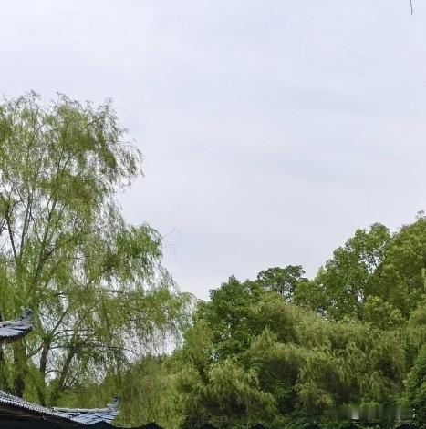 夏日生活打卡季远山林木葱郁，垂柳枝条随风轻扬。古建飞檐隐于绿意之间，淡云漫过浅灰