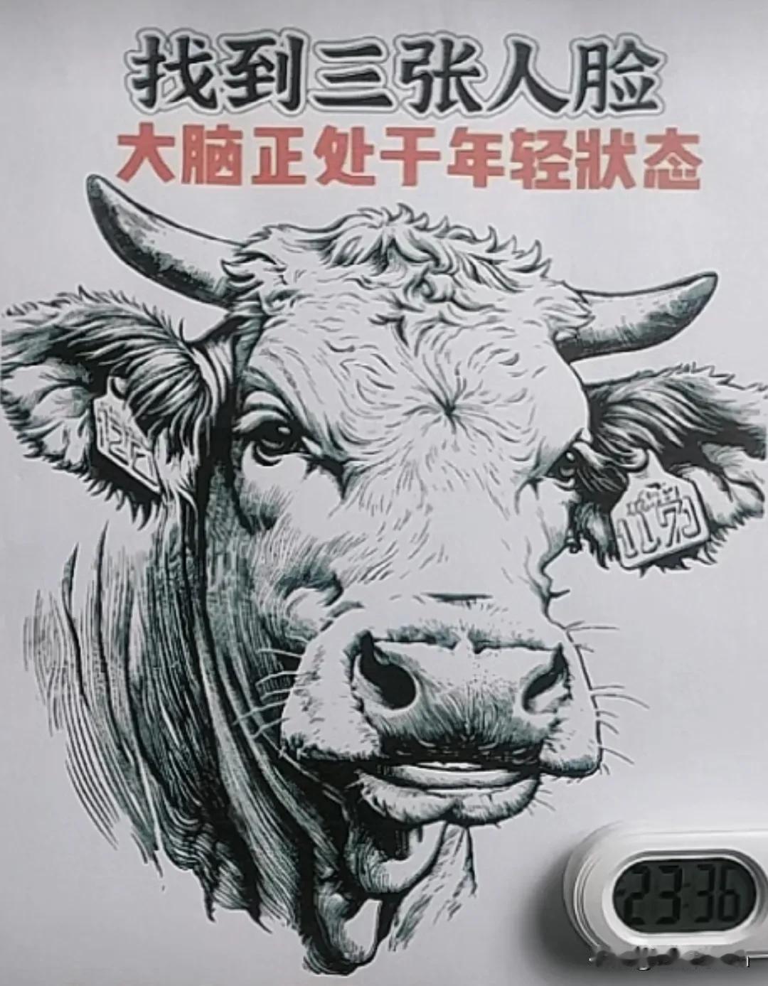 太难了，就看到一张脸，看来是真的老了，眼神不行了#找隐藏的人脸# #你的眼力极限