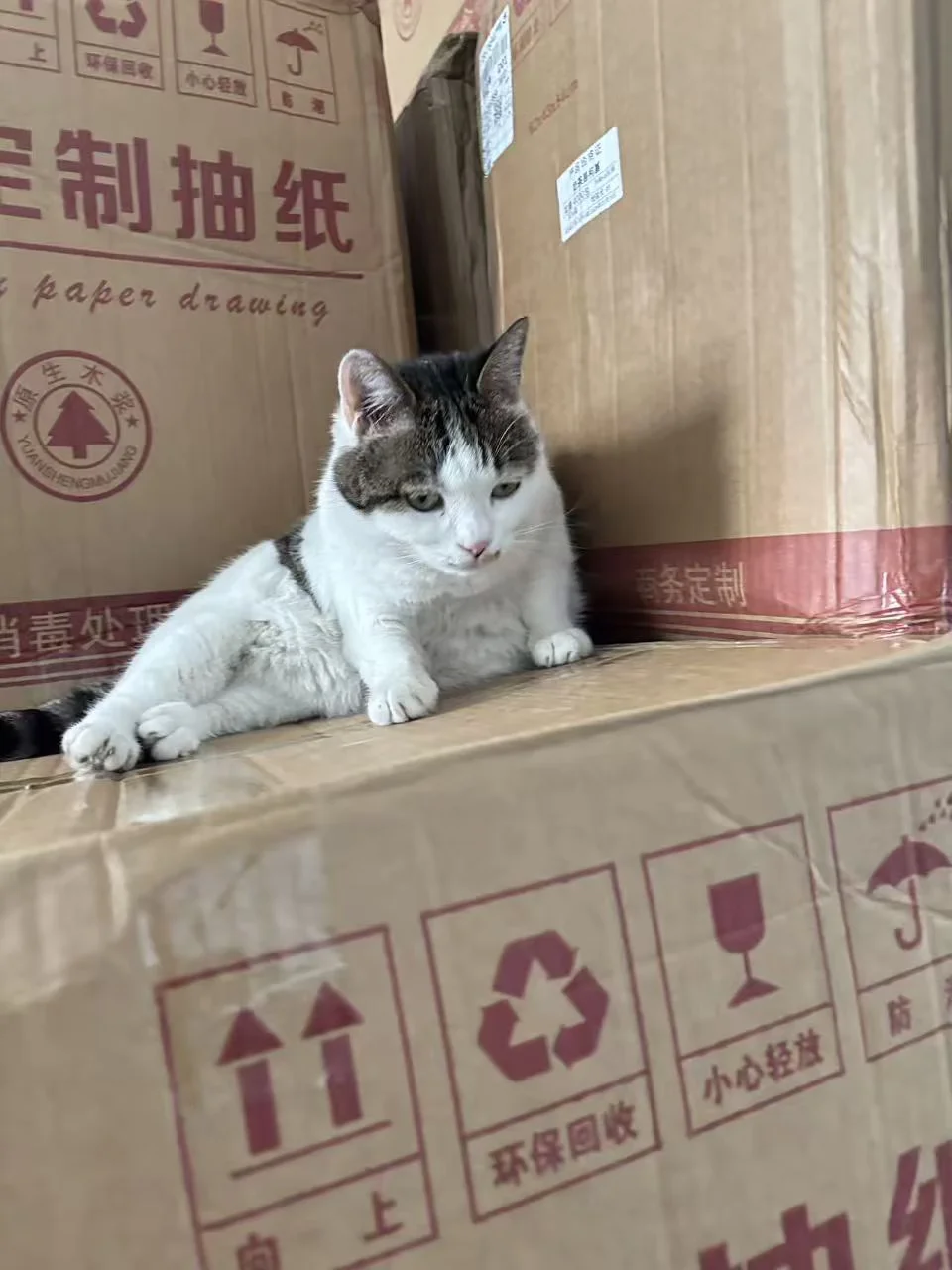姨姨们，阔不阔以帮咪清一下库存🥹