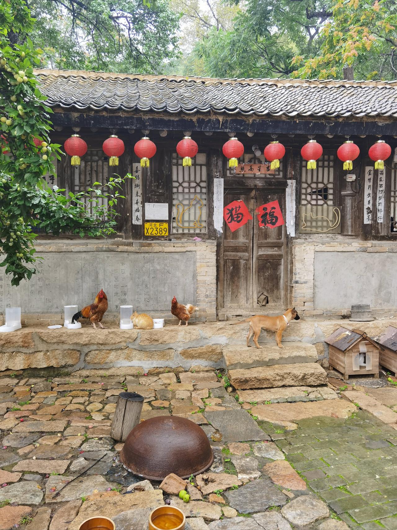 父母去世多年后，我想把老宅卖给邻居，妻子却劝我把房子送给堂弟。

老宅位于城郊，