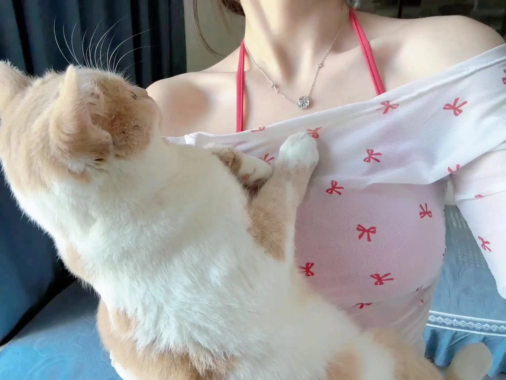 做我的猫