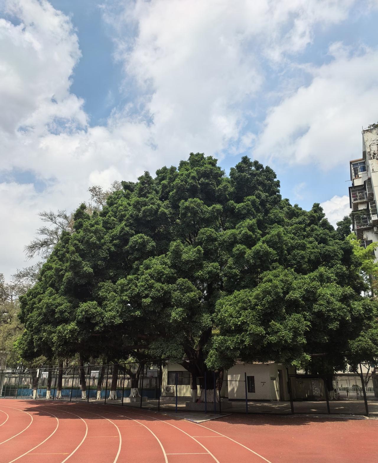 跑步锻炼，能达到这个里程数就有很大的效果，很多人的认知错了
很多人觉得跑步只有跑