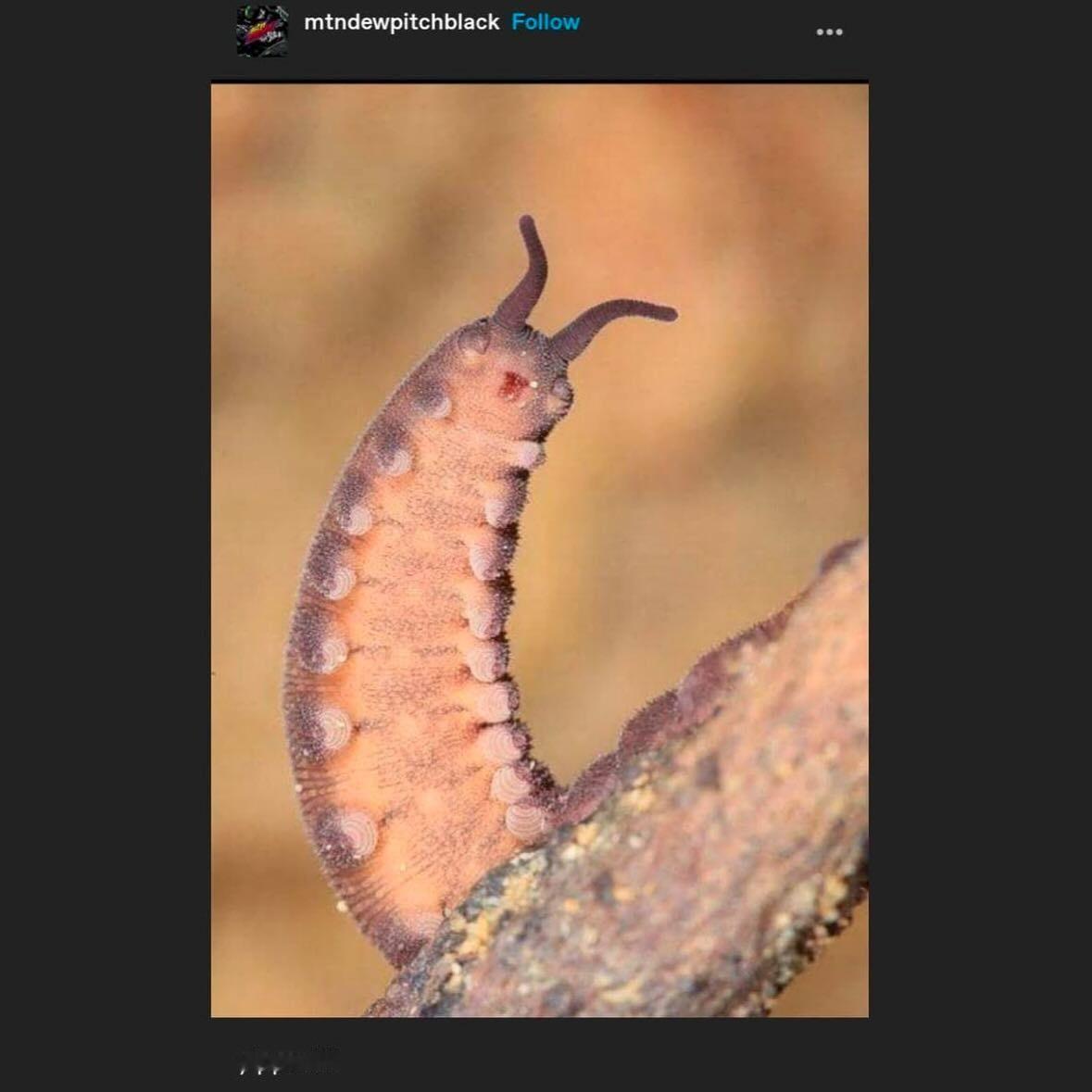 耶咿！！！！！ 