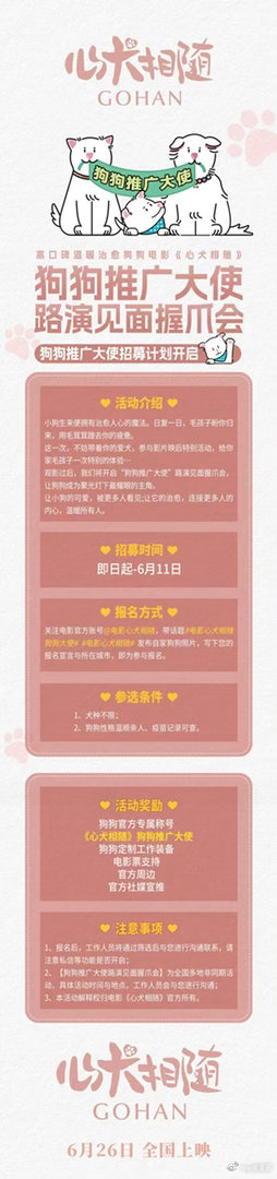 姥姥的外孙团队新作心犬相随定档 银幕内看小狗米饭，银幕外也被身边的狗狗治愈～电影