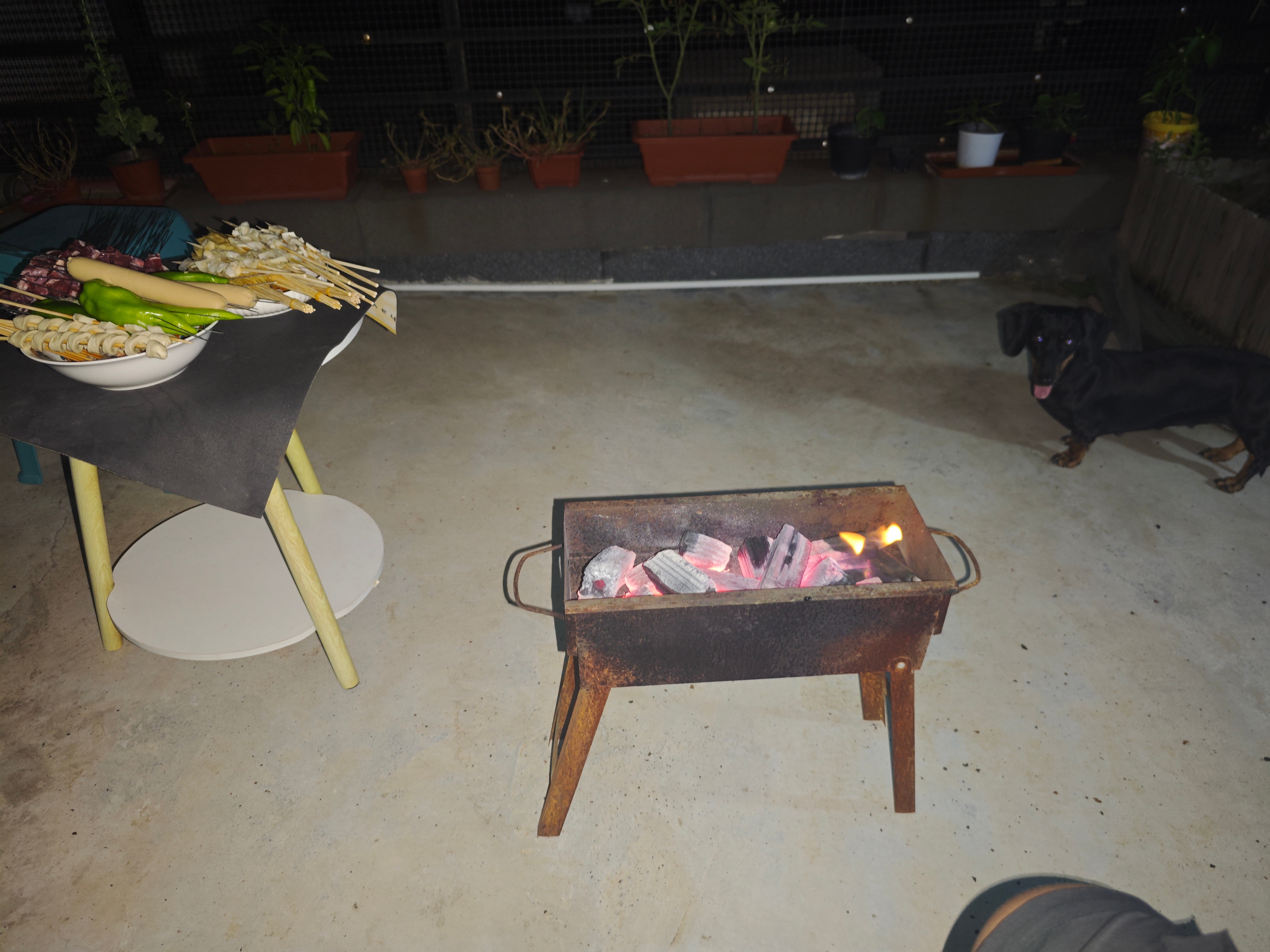 bbq[干饭人][干饭人][干饭人]明早比赛，是看恩佐捕H，切尔西vs皇马还是看