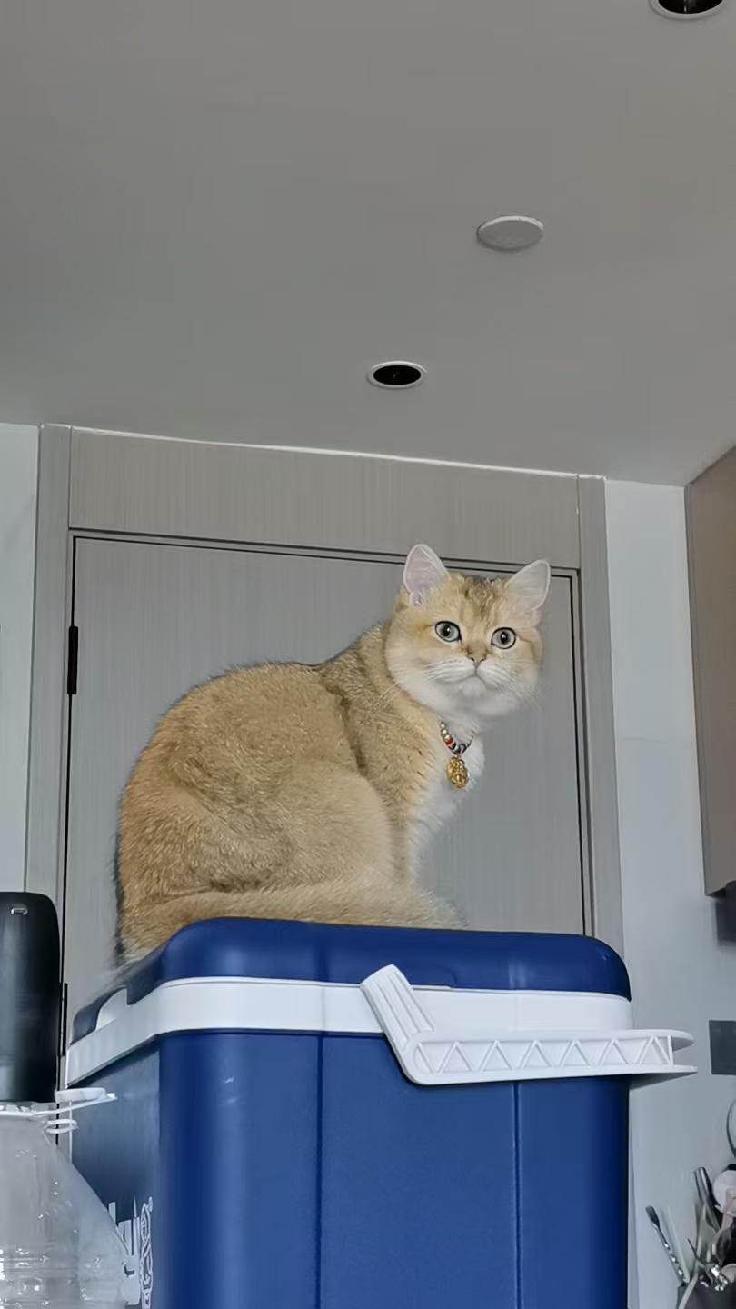 你对买彩票中大奖抱有希望吗