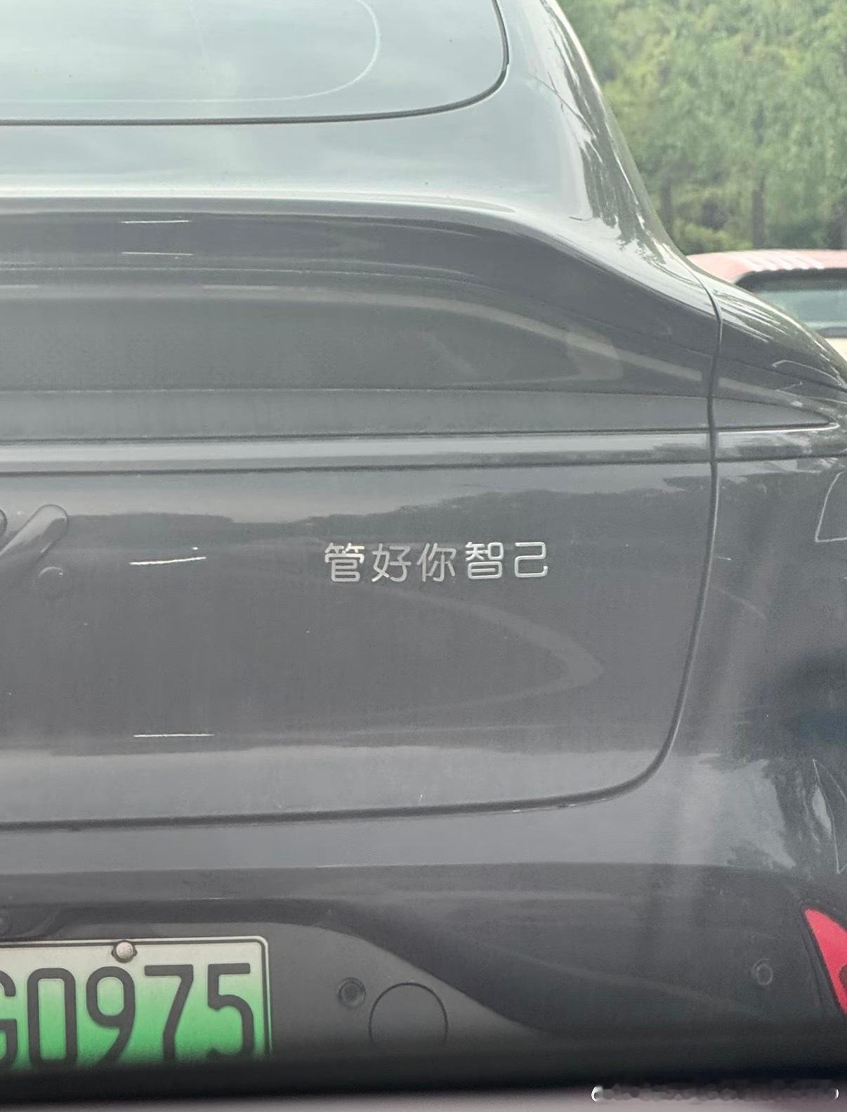 不同汽车品牌的名称扩充，搞笑男女可以参考[doge]1️⃣智己：管好你智己；2️