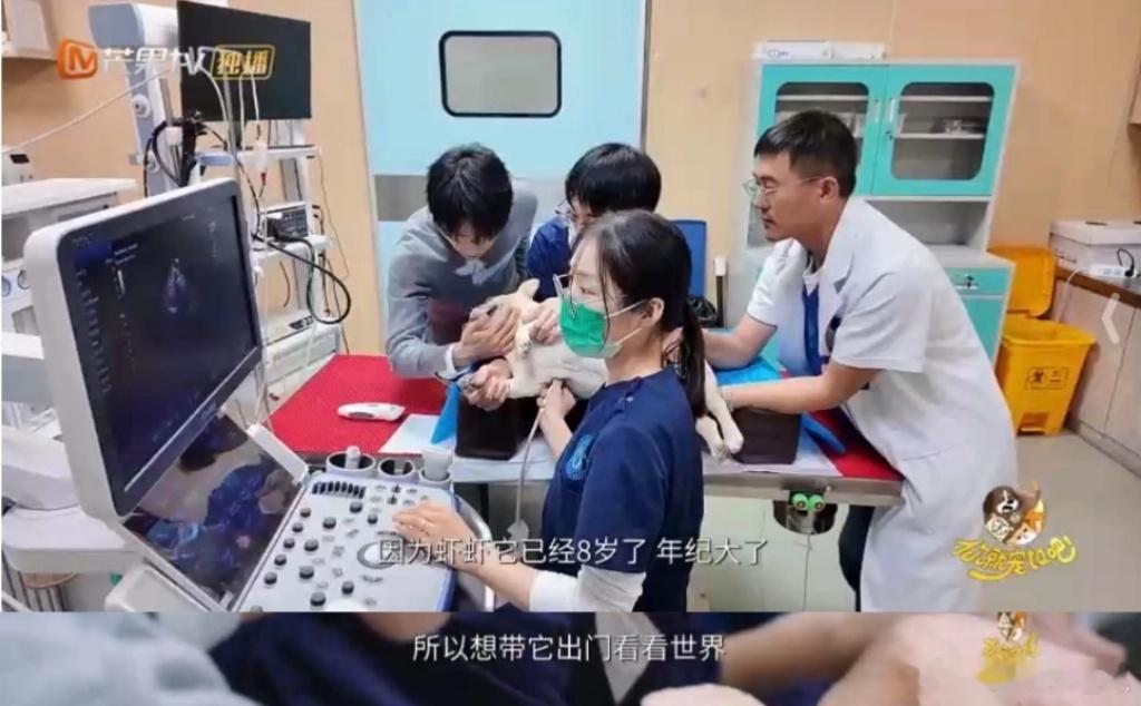 周一就应该看点淡班味的综艺  周一早晨的怨气值刚要拉满，就被《你就宠ta吧》里的