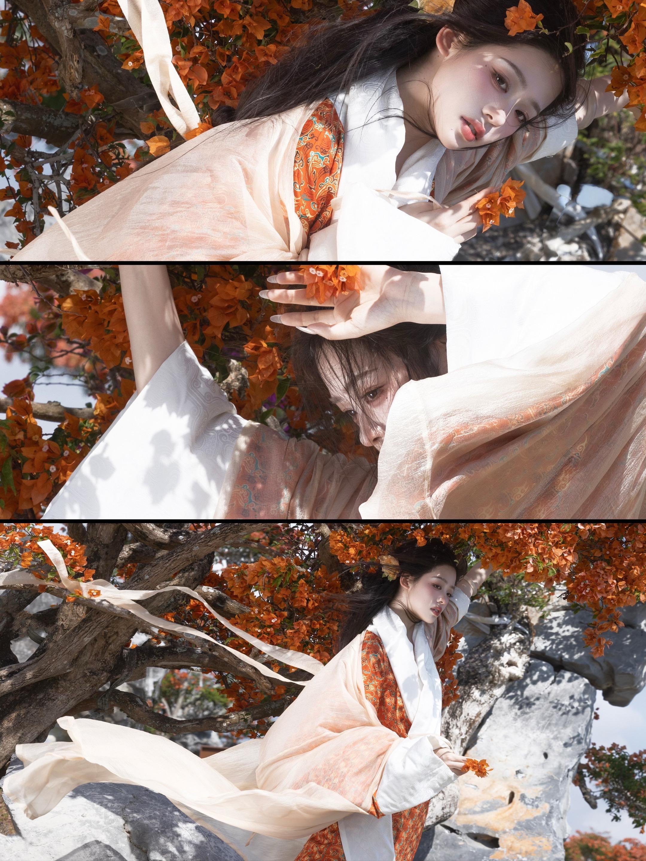 ‘ 我心匪石、不可转也 ’北方人哪见过这个！ 三角梅怎么会是橘色的呢 ...