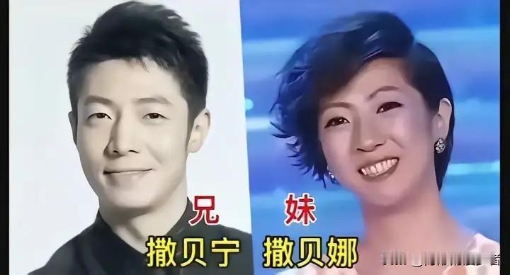撒贝宁和撒贝娜，一个是家喻户晓的央视名嘴，妹妹同样气质出众；谢霆锋和谢婷婷，兄妹