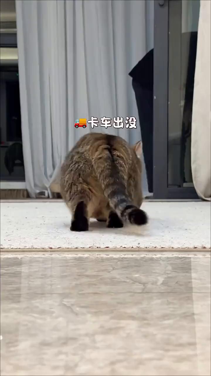 卡车出没。
不对劲，坐下了，大脑宕机ing。