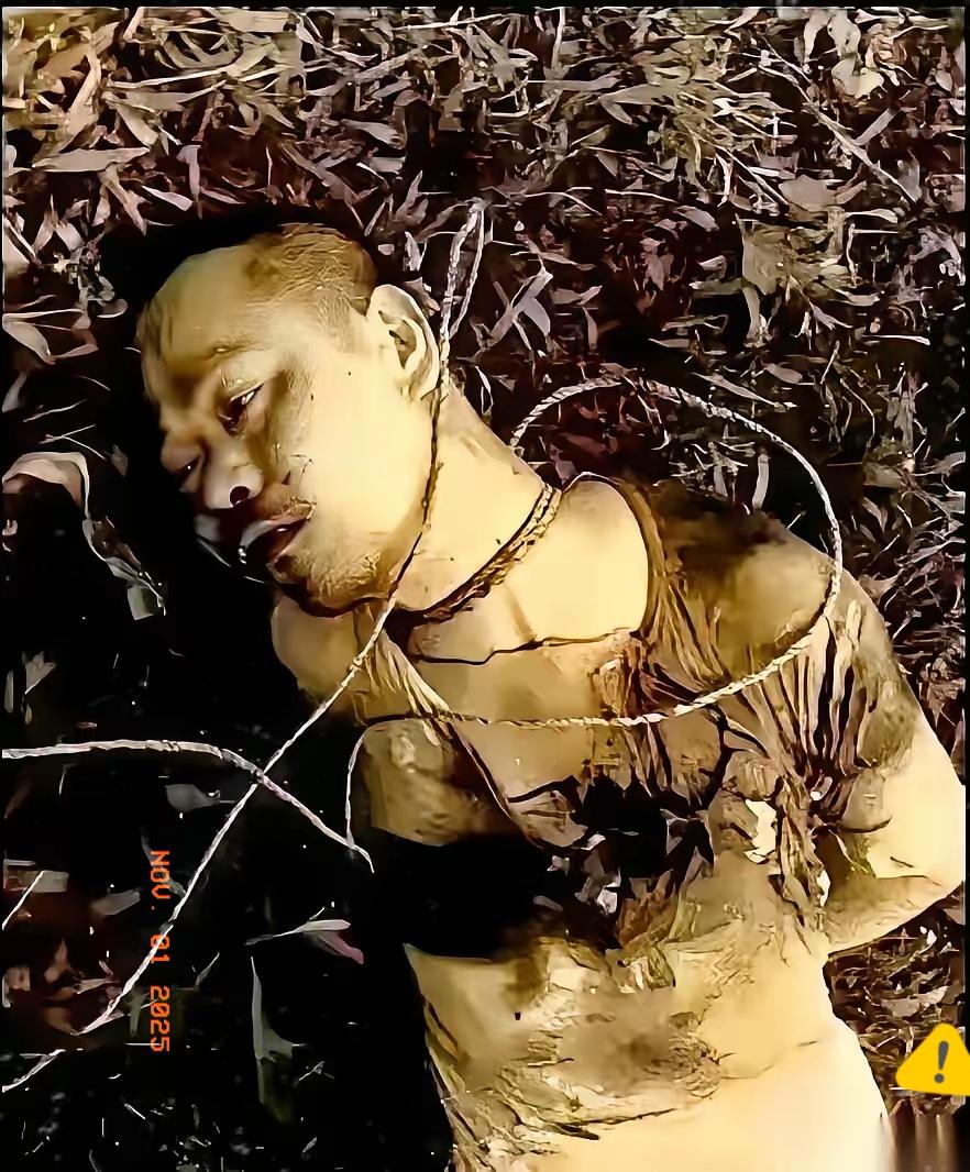 那张1950年台北马场町那张处决照，老蒋第二天就攥得死死的。
他要的根本不是什么