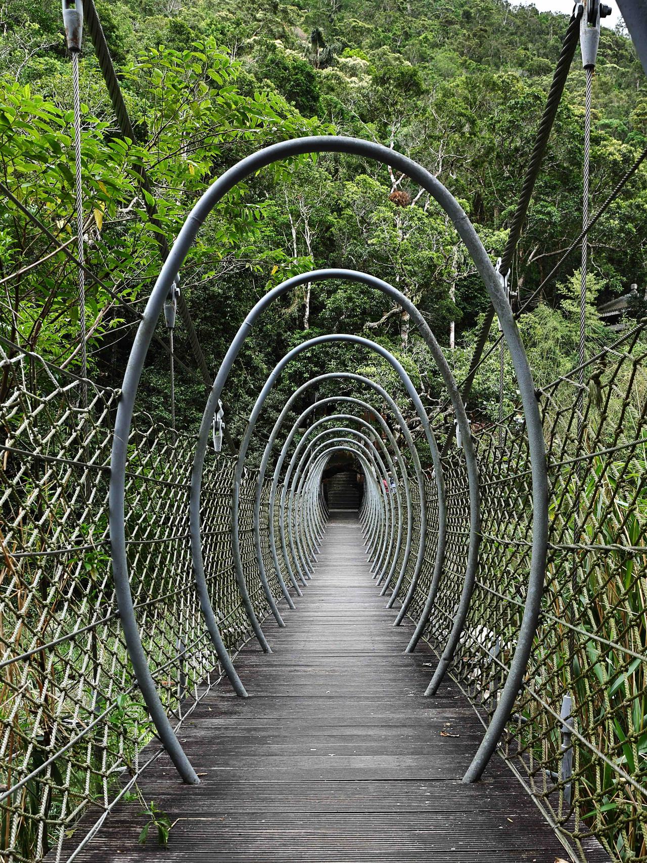 三亚吊罗山国家森林公园“金属吊桥”

摄影：郑立刚