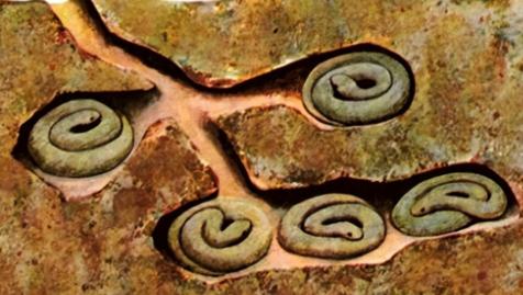 蛇冬眠的时候有多危险？一个专业捕蛇人坦言：90%的人根本想不到，一旦蛇进入冬眠，