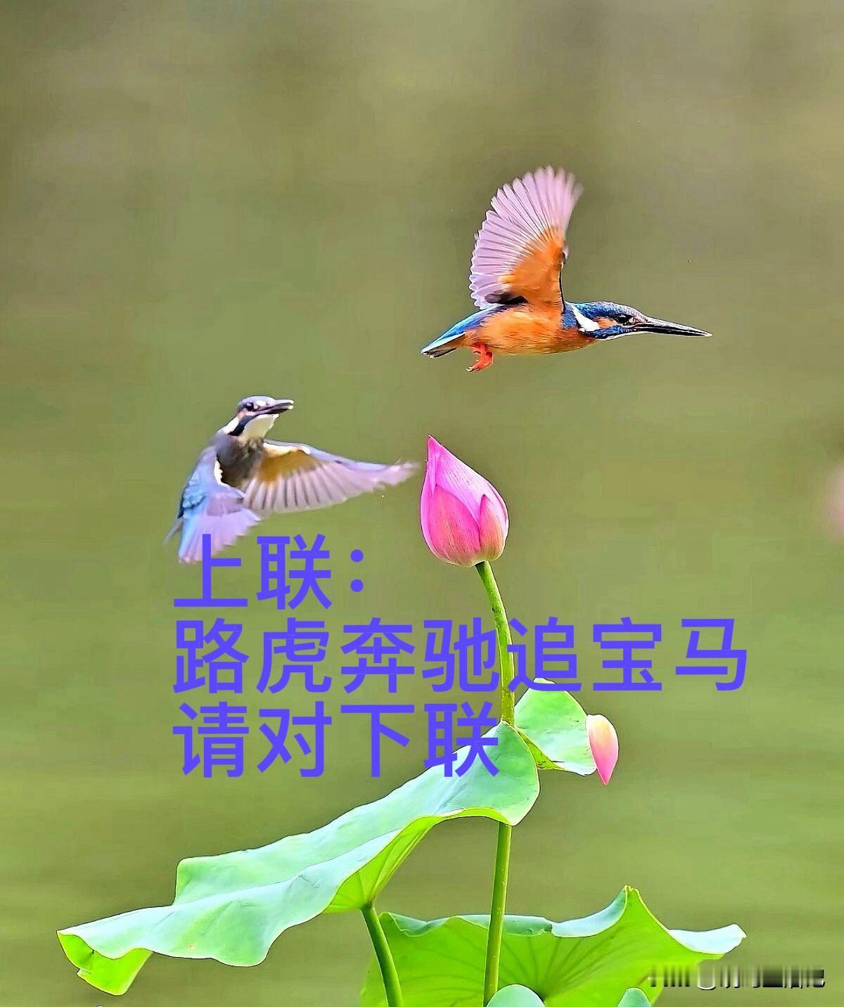上联：路虎奔驰追宝马，
请你对下联[作揖]