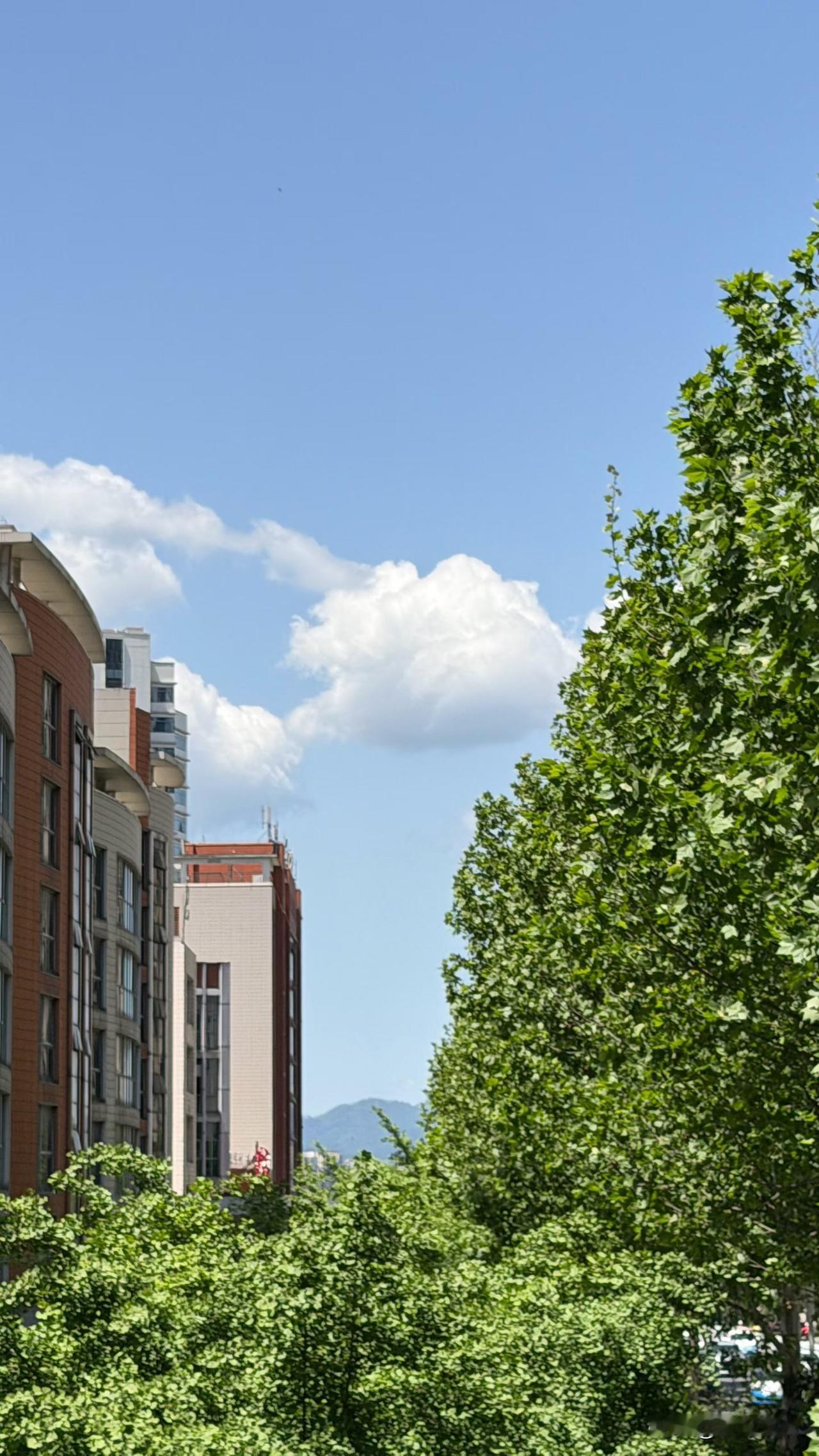 昨晚吃完饭老妈刚坐下，手边的手机突然响个不停，屏幕上显示着刘姨的名字。可老妈看了