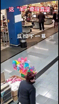 不佩服都不行！太淡定了！



真巧，这个正是自己喜欢的颜色！
真真正正的自选，